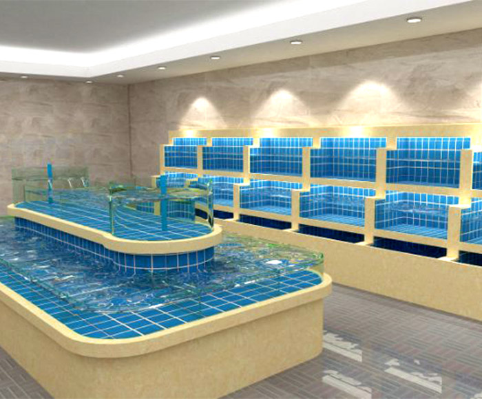 生態(tài)魚缸養(yǎng)護(hù)加水、光照、別亂動